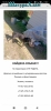 Найдена собака в Белавинском районе