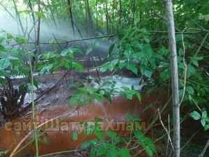 //shatura-hlam.ru/upload_images/html/max/html_m_22612_0dea450331ab776c24998d526782f43e36.jpeg 