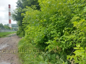//shatura-hlam.ru/upload_images/html/max/html_m_22612_98eeb5bee0ab41d4ed8c2293e7435dbf10.jpeg 