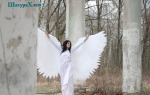 Крылья ангела аренда