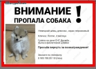 помогите найти