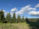 Земельный участок 7 соток, Слобода дер.