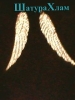 Настоящие крылья Ангела