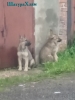 Около гаражей