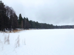 //shatura-hlam.ru/upload_images/html/max/html_m_10138_acbc4589a3e332276b0e65dc2633082253.jpeg 