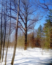 //shatura-hlam.ru/upload_images/html/max/html_m_10391_8cd94d2e6abee01dbf25f15089424f6d79.jpeg