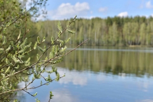 //shatura-hlam.ru/upload_images/html/max/html_m_10944_5c63d6146f5d71987eb2c70d57bf765b32.jpeg 