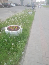 //shatura-hlam.ru/upload_images/html/max/html_m_10949_0cb28850a0ef737561a274539d7accee72.jpeg 