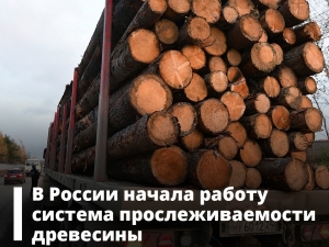 //shatura-hlam.ru/upload_images/html/max/html_m_11270_a12a63dae8f2399151e908986a3acb5e23.jpeg 
