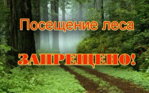 //shatura-hlam.ru/upload_images/html/max/html_m_11343_ffeb060d5de4f82f1c753f6ca995323576.jpeg