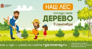 //shatura-hlam.ru/upload_images/html/max/html_m_11758_c0f1a280669c0fe858e6c7c11b4e531995.jpeg 