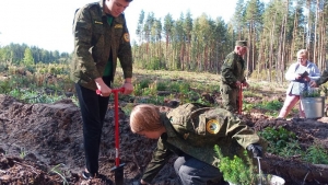 //shatura-hlam.ru/upload_images/html/max/html_m_11780_aaf02b9a9f622401bf437642ee5e082323.jpeg 