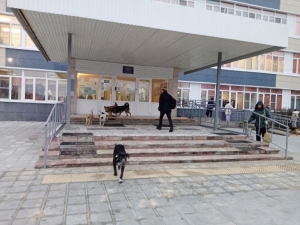 //shatura-hlam.ru/upload_images/html/max/html_m_12301_027681771ccfb2417adae9c1fd250e9862.jpeg 