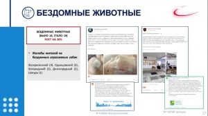 //shatura-hlam.ru/upload_images/html/max/html_m_12301_9f78f9e857ea6330be87483664f59ff991.jpeg 