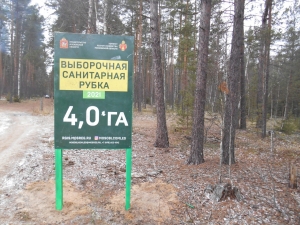//shatura-hlam.ru/upload_images/html/max/html_m_12307_f7045a477a667ae1a192df50eaabe08742.jpeg