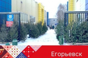 //shatura-hlam.ru/upload_images/html/max/html_m_12563_c03c2d077bff3682558148000b2fe07d96.jpeg 