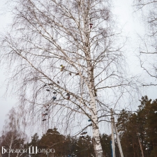 //shatura-hlam.ru/upload_images/html/max/html_m_12981_6c19497bb06d0f7ece38a87802d570a718.jpeg 