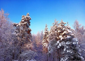 //shatura-hlam.ru/upload_images/html/max/html_m_13222_8b3a0696060b650da2f5ec544f3b994573.jpeg 