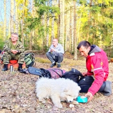 //shatura-hlam.ru/upload_images/html/max/html_m_13610_489ad2b030bc8cc0d7a725d1de53344279.jpeg 