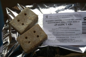 //shatura-hlam.ru/upload_images/html/max/html_m_13626_c2c769dcc4f9c84e815e133d961aeffe90.jpeg 