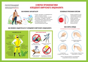 //shatura-hlam.ru/upload_images/html/max/html_m_13644_cf6e7c5c309c103d2c3d70c3500d1d6757.jpeg