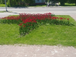 //shatura-hlam.ru/upload_images/html/max/html_m_13909_01bec8bac1128b4de4b9643ae7abc91b18.jpeg 