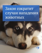 //shatura-hlam.ru/upload_images/html/max/html_m_14079_5ac88c2ffcb530c9e2be4b366d3c4c0497.jpeg 