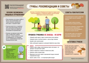 //shatura-hlam.ru/upload_images/html/max/html_m_14257_b7d4deed8744e16a6877e5620642fa4488.jpeg 