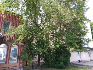 //shatura-hlam.ru/upload_images/html/max/html_m_14298_54d77c41bf9ad1374f7ce8e8188c052690.jpeg 