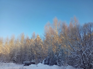 //shatura-hlam.ru/upload_images/html/max/html_m_15553_bbd3a0d5e48f2db3a922a1a58dd38e6650.jpeg 