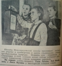 //shatura-hlam.ru/upload_images/html/max/html_m_15690_c148a338f611627f5ba81df8487a46b012.jpeg 