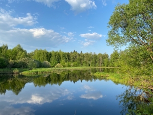 //shatura-hlam.ru/upload_images/html/max/html_m_16743_7ef18af7abf50f48070ba83aefc7c80639.jpeg 