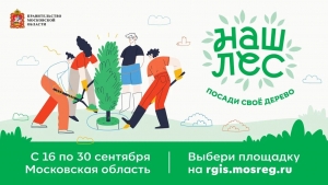//shatura-hlam.ru/upload_images/html/max/html_m_17549_9d97d9679a27f170496465609b08c5db88.jpeg 