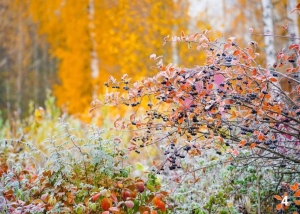 //shatura-hlam.ru/upload_images/html/max/html_m_17932_942a0d625bd277e654e3f79d37a79ef838.jpeg 