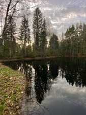 //shatura-hlam.ru/upload_images/html/max/html_m_17944_487bb6cca4013032db7a70371fddf63856.jpeg 