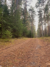 //shatura-hlam.ru/upload_images/html/max/html_m_17944_871cbe8e3a4f5ab49a5d4f5bf25aa82e65.jpeg 