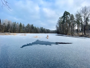 //shatura-hlam.ru/upload_images/html/max/html_m_18011_8feb794cdc711f3245da4f3b9833416330.jpeg 