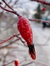 //shatura-hlam.ru/upload_images/html/max/html_m_18026_2f6b135ddd04709cb0cb1a67fed1510867.jpeg 