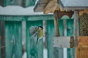 //shatura-hlam.ru/upload_images/html/max/html_m_18152_673e63a66307c06e38a84bee6b8bce5150.jpeg 