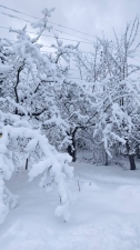//shatura-hlam.ru/upload_images/html/max/html_m_18213_fe44e857c4d5c9087c948e0f41b2677164.jpeg 