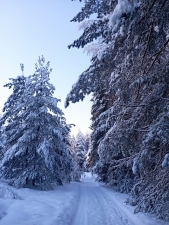 //shatura-hlam.ru/upload_images/html/max/html_m_18223_cccca938eaff4f4049322d04cf765b7089.jpeg 