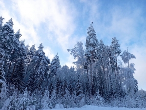 //shatura-hlam.ru/upload_images/html/max/html_m_18223_ec405a1c36565c478df1ec7417d0188f44.jpeg 