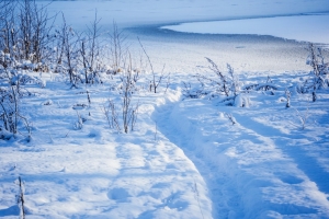 //shatura-hlam.ru/upload_images/html/max/html_m_18299_20f9398751b8465fcb8dbd8bc396657790.jpeg 