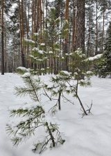 //shatura-hlam.ru/upload_images/html/max/html_m_18489_97f82847fd5639e2ea755955fe60de2c82.jpeg 
