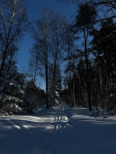 //shatura-hlam.ru/upload_images/html/max/html_m_18489_a3ace77071f953a8b6de340f705d723990.jpeg 