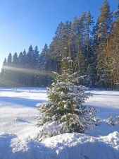 //shatura-hlam.ru/upload_images/html/max/html_m_18489_bbeab0064fa556fbfb21be8ec4d639a964.jpeg 