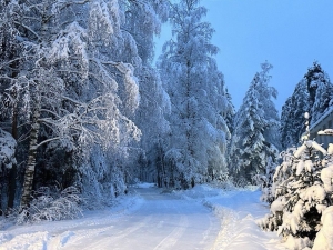 //shatura-hlam.ru/upload_images/html/max/html_m_18489_da80dd4c348dafe931f2ffd05c762bf538.jpeg 