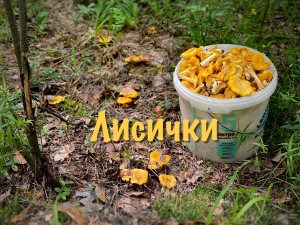 //shatura-hlam.ru/upload_images/html/max/html_m_19246_076c77c93a0c2a6dc05198c191e4f66859.jpeg 