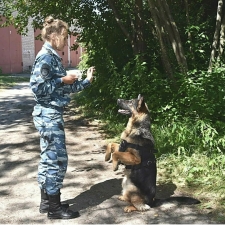 //shatura-hlam.ru/upload_images/html/max/html_m_20020_118292560b37e09db956b2e27442b4cb86.jpeg 