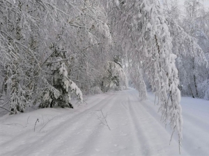 //shatura-hlam.ru/upload_images/html/max/html_m_20159_bb43ba2067c2fefe0a9c22691c60335c90.jpeg 